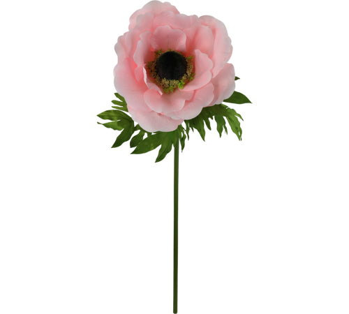 Fiore Gigante Anemone Hoff Interieur - La Sibilla