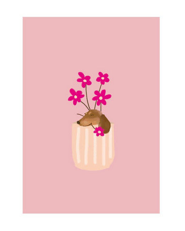 Biglietto Cartolina Yay Cards Dackel Blumentopf - La Sibilla