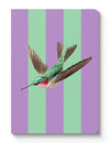 Taccuino A6 Striped Hummingbird - La Sibilla