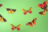 Ghirlanda di carta Butterflies East and Press - La Sibilla