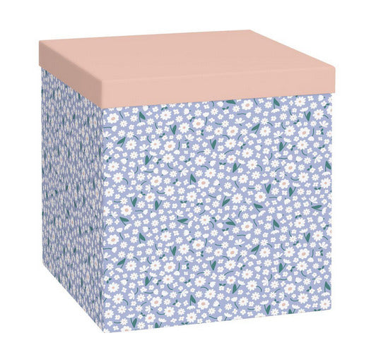 Scatola Cube Samia - La Sibilla
