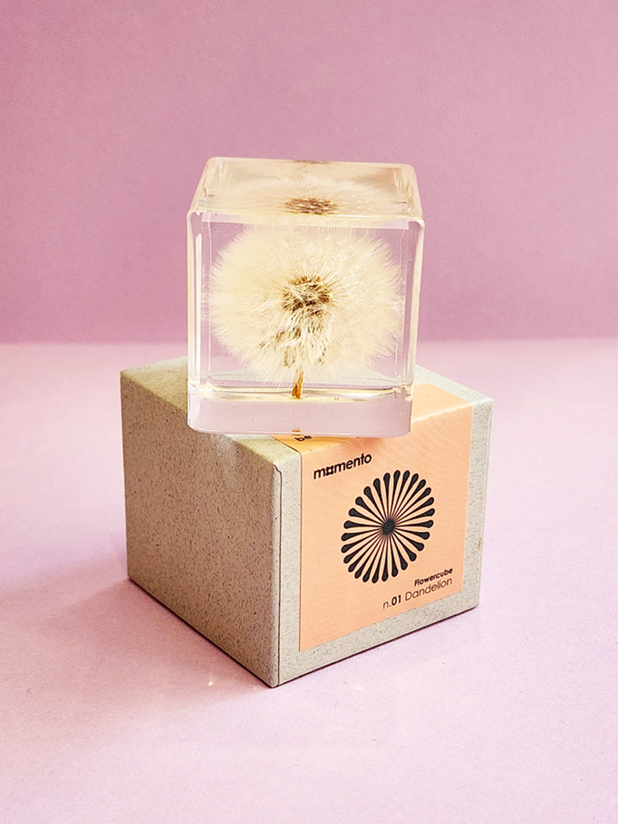 Flower Cube Dandelion