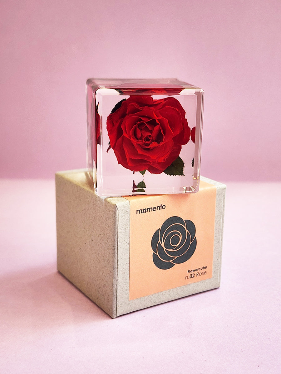Flower Cube Rose