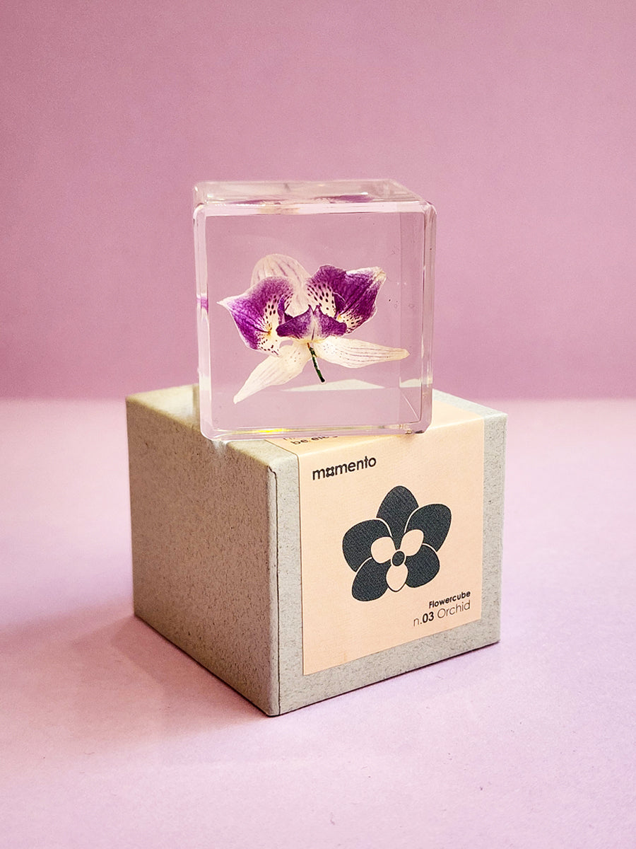 Flower Cube Orchid