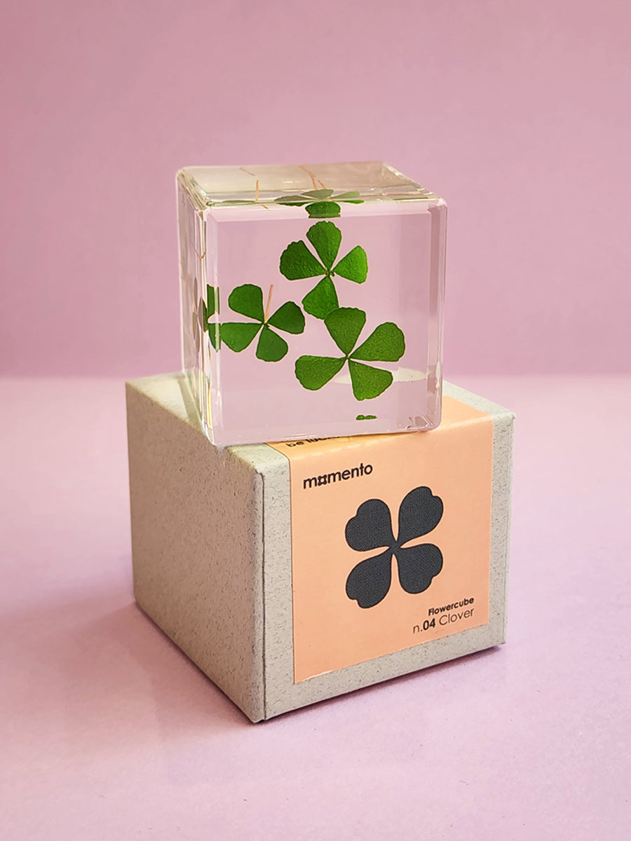 Flower Cube Clover