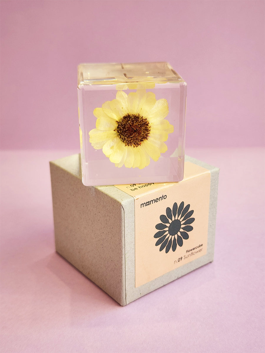 Flower Cube SunFlower